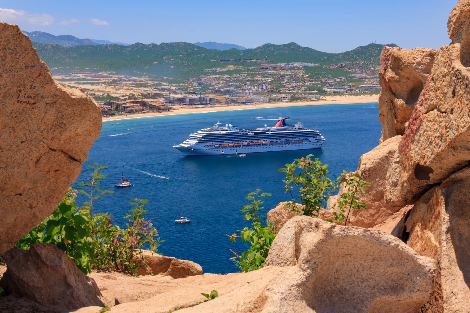Cruceros